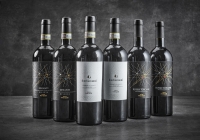 Vinpakke 11 - firmajulegave med 6 fl. klassisk italiensk rødvin