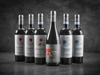 Vinpakke 13 - firmajulegave med 6 fl. klassisk italiensk vin
