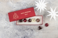 Xocolatl Merry Cherry 5 | 45 g firmajulegave