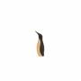 Architectmade-Wenge-Penguin-Mini-Wenge-Beech-Hans-Bunde